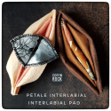 Interlabial pad - fantom of the opera